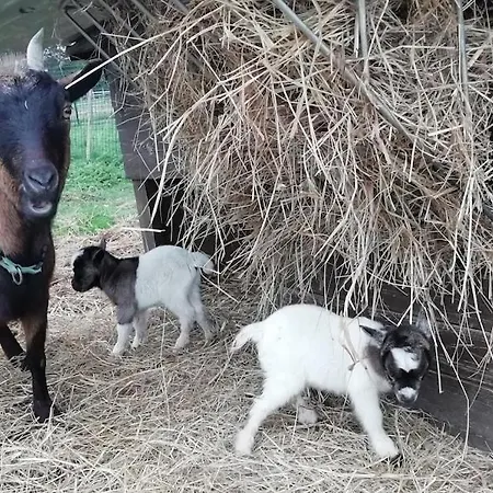 Maison Entre Seine Et Foret * Aizier