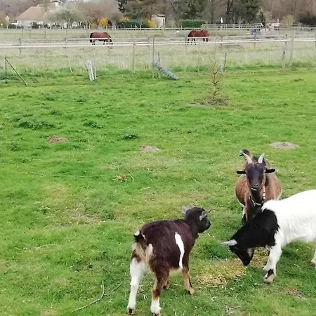 Maison Entre Seine Et Foret Nyaraló *