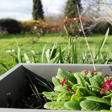 Maison Entre Seine Et Foret * Aizier