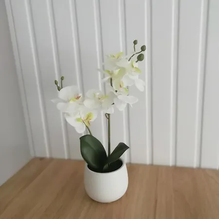 Maison Entre Seine Et Foret Tatil Evi