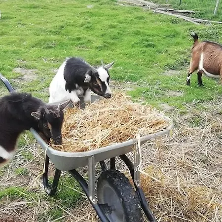 Tatil Evi Maison Entre Seine Et Foret Aizier